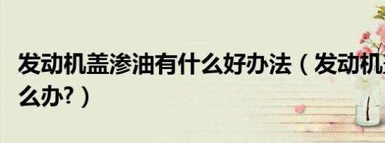 发动机盖渗油有什么好办法（发动机盖渗油怎么办?）