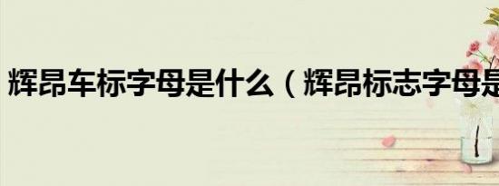 辉昂车标字母是什么（辉昂标志字母是什么）