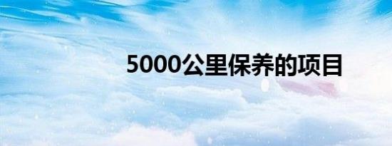 5000公里保养的项目