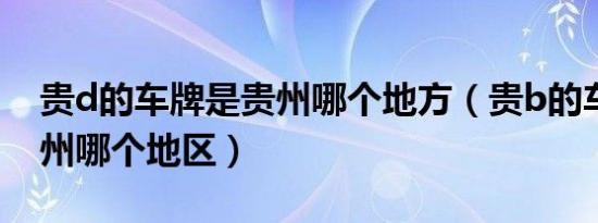 贵d的车牌是贵州哪个地方（贵b的车牌是贵州哪个地区）