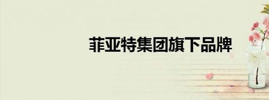 菲亚特集团旗下品牌
