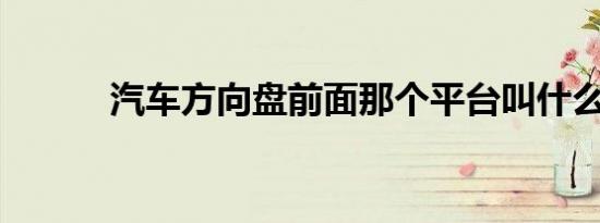 汽车方向盘前面那个平台叫什么