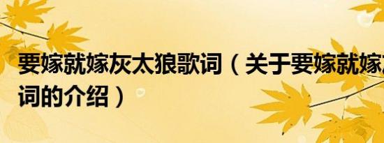 要嫁就嫁灰太狼歌词（关于要嫁就嫁灰太狼歌词的介绍）