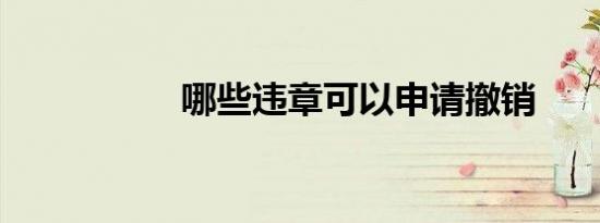 哪些违章可以申请撤销