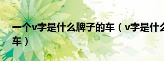 一个v字是什么牌子的车（v字是什么牌子的车）