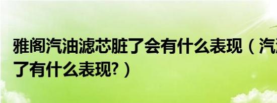 雅阁汽油滤芯脏了会有什么表现（汽油滤芯脏了有什么表现?）
