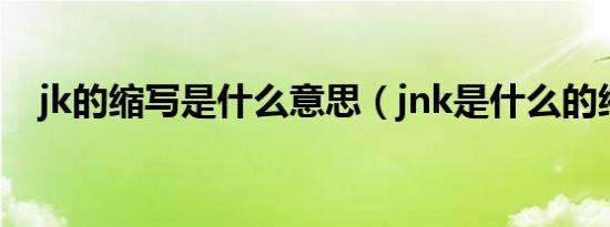 jk的缩写是什么意思（jnk是什么的缩写）
