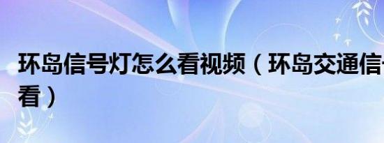环岛信号灯怎么看视频（环岛交通信号灯怎么看）