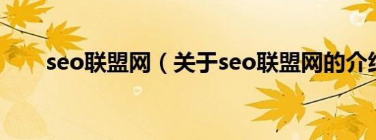 seo联盟网（关于seo联盟网的介绍）