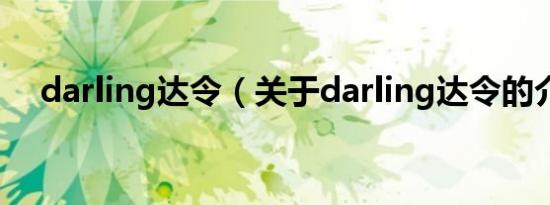 darling达令（关于darling达令的介绍）