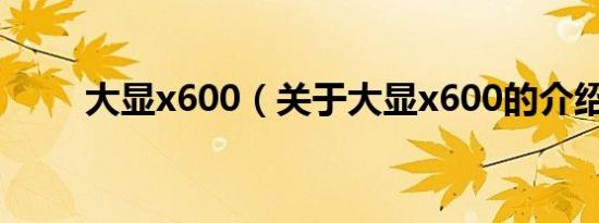 大显x600（关于大显x600的介绍）