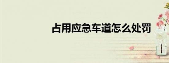 占用应急车道怎么处罚