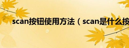 scan按钮使用方法（scan是什么按钮）