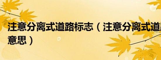 注意分离式道路标志（注意分离式道路是什么意思）