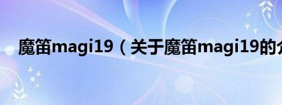 魔笛magi19（关于魔笛magi19的介绍）