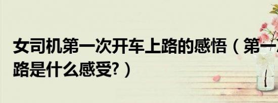 女司机第一次开车上路的感悟（第一次开车上路是什么感受?）