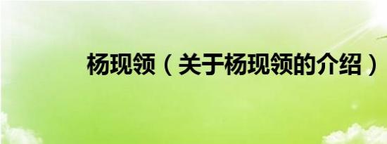杨现领（关于杨现领的介绍）
