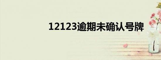 12123逾期未确认号牌