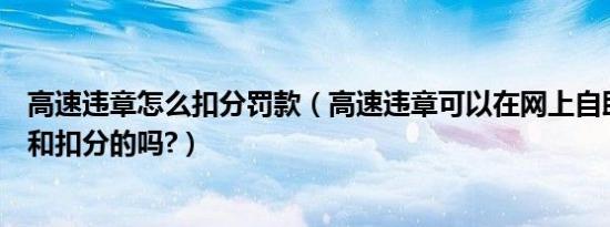 高速违章怎么扣分罚款（高速违章可以在网上自助处理罚款和扣分的吗?）