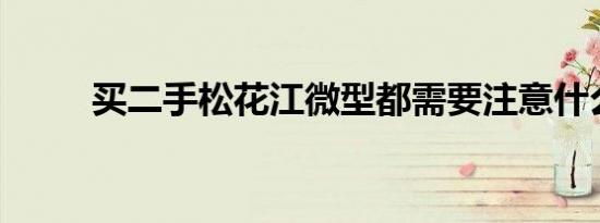 买二手松花江微型都需要注意什么