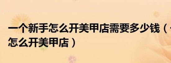 一个新手怎么开美甲店需要多少钱（一个新手怎么开美甲店）
