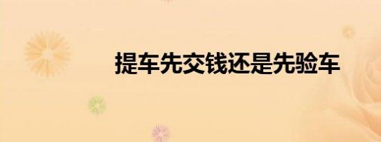 提车先交钱还是先验车