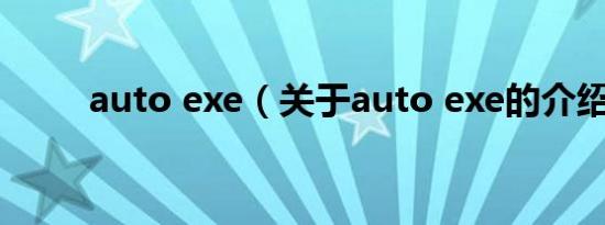 auto exe（关于auto exe的介绍）