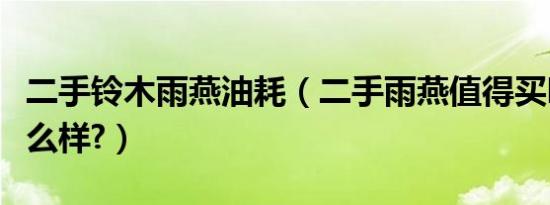 二手铃木雨燕油耗（二手雨燕值得买吗油耗怎么样?）
