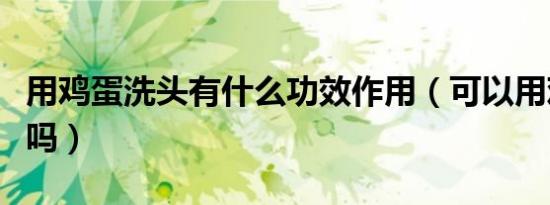 用鸡蛋洗头有什么功效作用（可以用鸡蛋洗头吗）