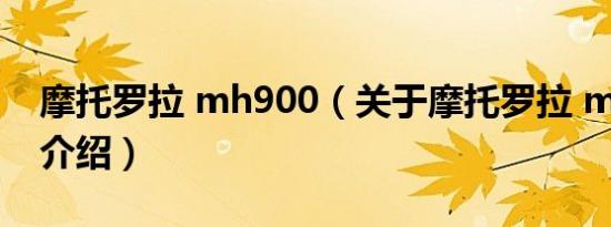 摩托罗拉 mh900（关于摩托罗拉 mh900的介绍）