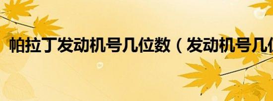 帕拉丁发动机号几位数（发动机号几位数?）
