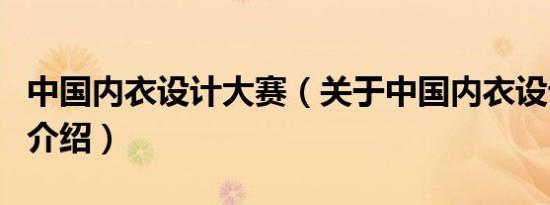 中国内衣设计大赛（关于中国内衣设计大赛的介绍）