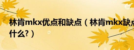林肯mkx优点和缺点（林肯mkx缺点和优点什么?）