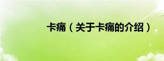 卡痛（关于卡痛的介绍）