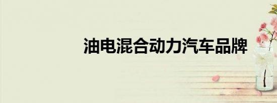 油电混合动力汽车品牌