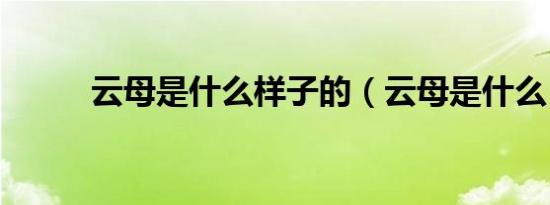 云母是什么样子的（云母是什么）