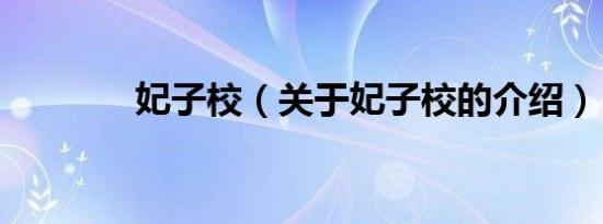 妃子校（关于妃子校的介绍）