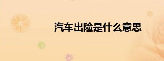 汽车出险是什么意思