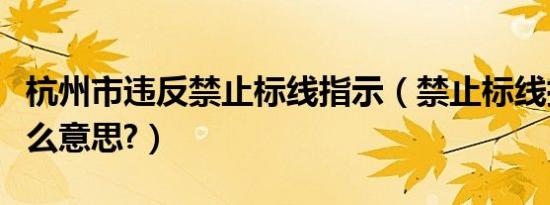 杭州市违反禁止标线指示（禁止标线指示是什么意思?）