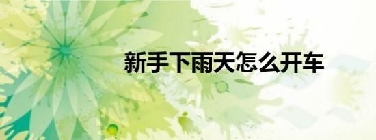新手下雨天怎么开车