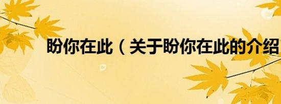 盼你在此（关于盼你在此的介绍）