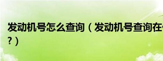 发动机号怎么查询（发动机号查询在什么网上?）
