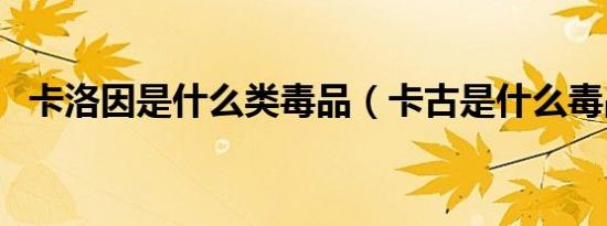 卡洛因是什么类毒品（卡古是什么毒品吗）
