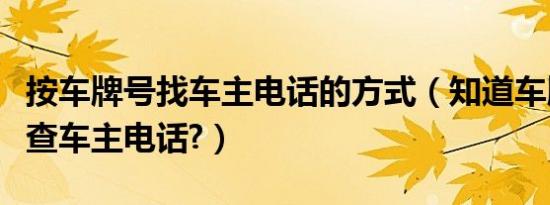 按车牌号找车主电话的方式（知道车牌号怎么查车主电话?）