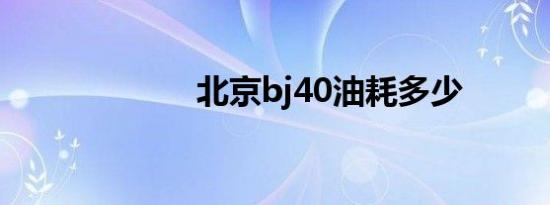 北京bj40油耗多少