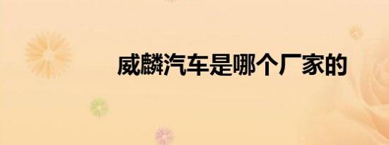 威麟汽车是哪个厂家的