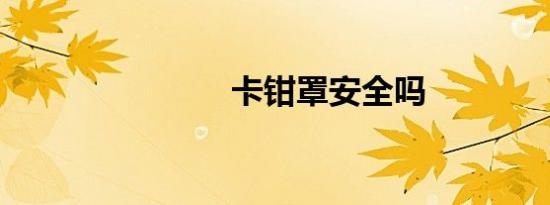 卡钳罩安全吗
