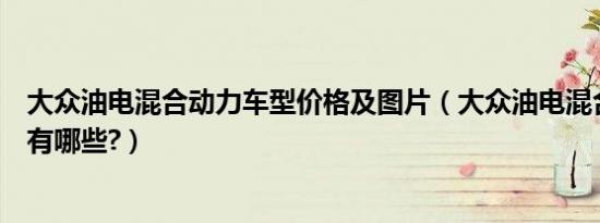 大众油电混合动力车型价格及图片（大众油电混合动力车型有哪些?）