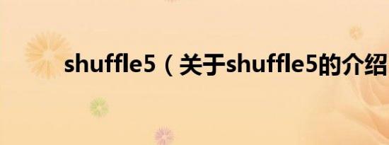 shuffle5（关于shuffle5的介绍）