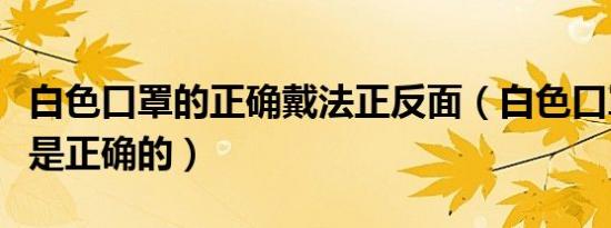 白色口罩的正确戴法正反面（白色口罩怎么带是正确的）